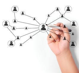 車(chē)管所7月1日起駕照新政 沒(méi)考駕照的人有福了！